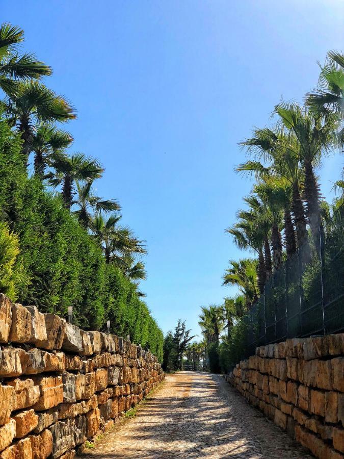 Herdade Dos Salgados Appartement Albufeira